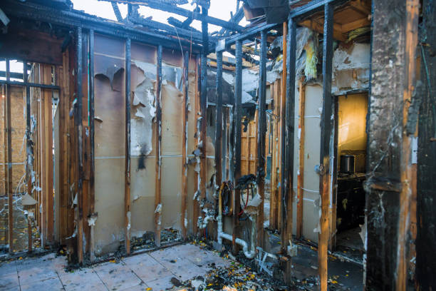 Professional Odor Removal technician working in Watertown Town, MA
